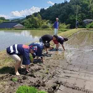 田植え画像.jpg